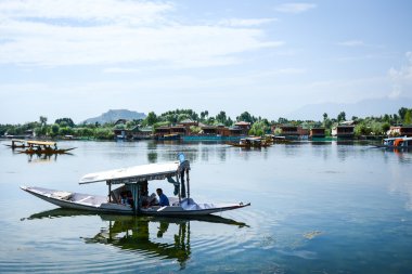 srinagar, Keşmir, Hindistan gölde dal