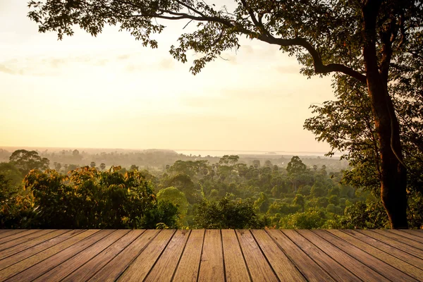Orman manzara ve ahşap zemini