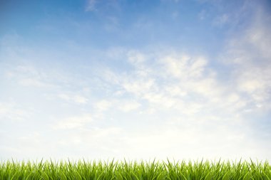 Mavi gökyüzü ve bulutlar altında çim çimen