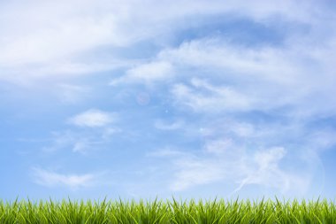 Mavi gökyüzü ve bulutlar altında çim çimen