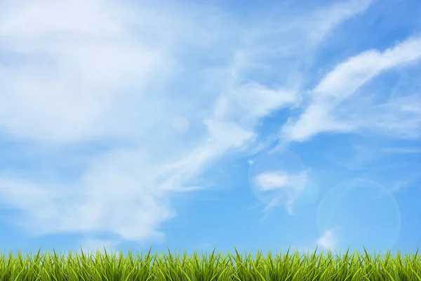 Hierba hierba bajo cielo azul y nubes — Foto de Stock