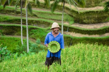 adam ve pirinç Teras Bali, el yapımı şapka