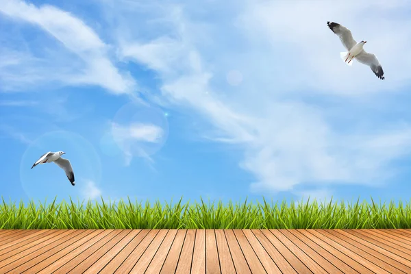 Trägolv och gräs under blå himmel och fåglar — Stockfoto
