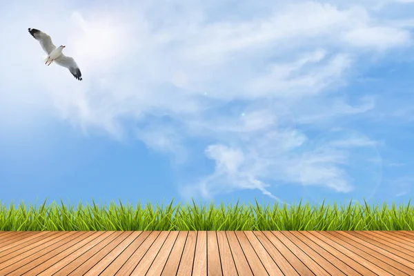Suelo de madera y hierba bajo cielo azul y pájaro — Foto de Stock