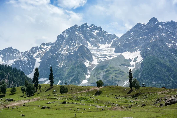 Sonamarg，克什米尔，印度的芒廷维尤 — 图库照片