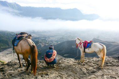 Man with horses for tourist rent at Mount Bromo clipart