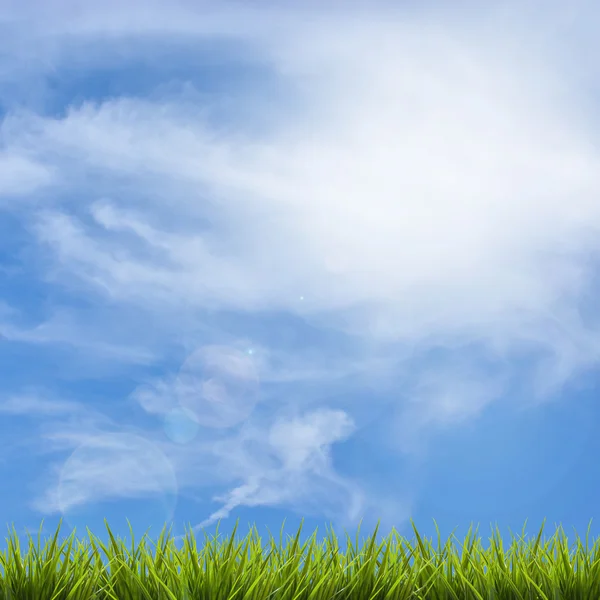 Grama grama sob céu azul e nuvens — Fotografia de Stock