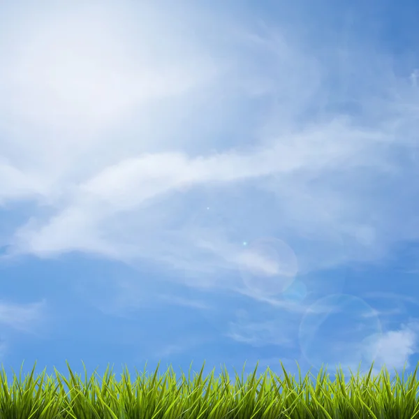 Gras gras onder de blauwe hemel en wolken — Stockfoto