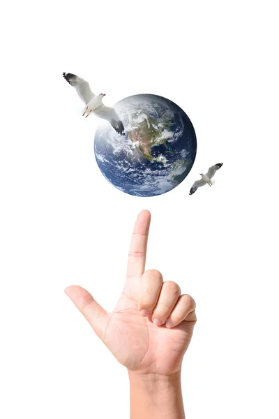 Mão humana apontando o mundo e pássaros — Fotografia de Stock