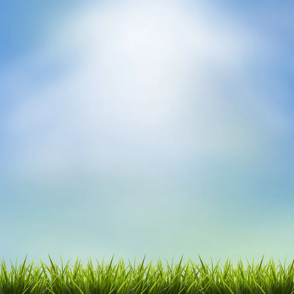 Erba erba sotto il cielo blu e nuvole — Foto Stock