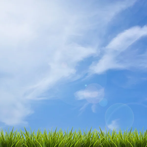 푸른 하늘과 구름 아래 잔디 잔디 — 스톡 사진
