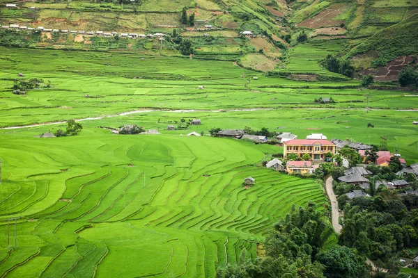 Terrain de riz en terrasses dans le village de Tule, Vietnam — Photo