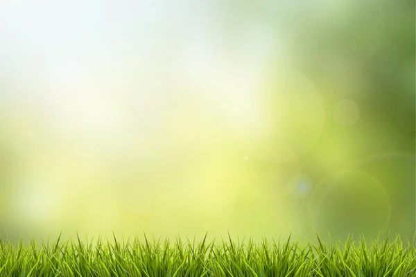 草和绿色自然模糊背景 — 图库照片