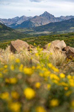 San Juan Dağları sonbahar sezonunun başlarında manzara. Dallas Divide 'dan Sneffels Dağı' nın güzel manzarası, Ridgway ile ABD 'nin güneybatısındaki Placerville arasında yüksek bir dağ geçidi..