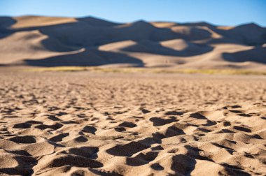 Great Sand Dunes National Park in Colorado, USA. Curves of sand dunes casting shadow against the clear blue sky. Desert landscape and the tallest dunes in North America.