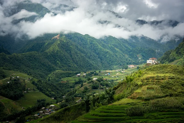 Beau paysage de la vallée de Sapa — Photo