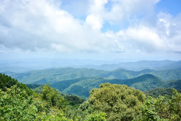 Gebirgslandschaft im Frühling — Stockfoto