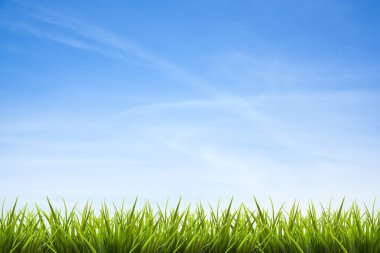 Mavi gökyüzü ve bulutlar altında çim çimen