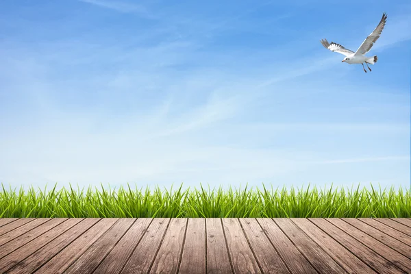 Wooden floor and grass under sky and bird — Stockfoto