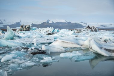 jokulsarlon Buzulu lagün İzlanda
