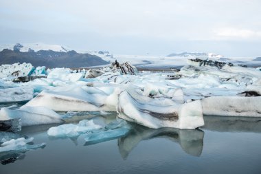 jokulsarlon Buzulu lagün İzlanda