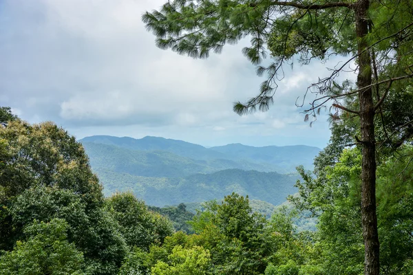 Gebirgslandschaft im Frühling — Stockfoto