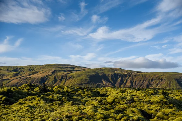 Cubierta de musgo en el paisaje volcánico de Islandia — Foto de Stock