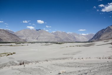 Nubra çöl vadi Ladakh, Hindistan