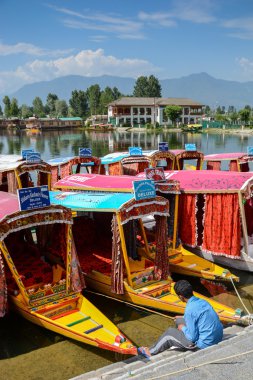 srinagar, Keşmir, Hindistan gölde dal