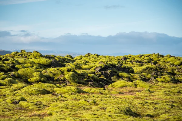 Cubierta de musgo en el paisaje volcánico de Islandia — Foto de Stock