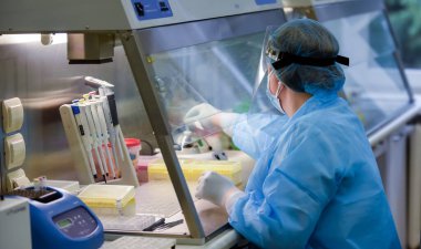 Covid 19 testleri için laboratuvar. Laboratuvar asistanı antikor örneklerini kontrol eder.