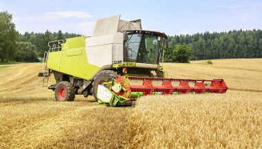 Çim biçme işlemi tarladaki buğdayı kaldırır. Hasatçı, tarladaki olgunlaşmış buğday mahsulünü temizler.
