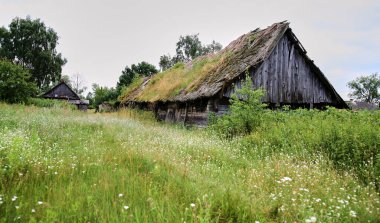 Doğu Avrupa, Belarus Cumhuriyeti, Kachanovichi köyü, Pinsk bölgesi, Brest bölgesi. Sazlı çatıları olan eski evler..