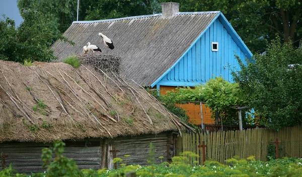 Osteuropa Republik Weißrussland Dorf Katschanowitschi Bezirk Pinsk Gebiet Brest Alte — Stockfoto