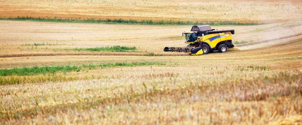 Combineren Met Het Maaien Verwijdert Tarwe Het Veld Oogster Verwijdert — Stockfoto