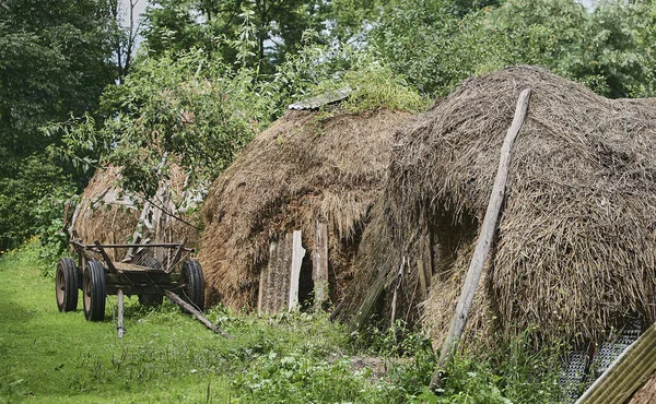 Východní Evropa Běloruská Republika Vesnice Kachanovichi Oblast Pinsk Brestská Oblast — Stock fotografie