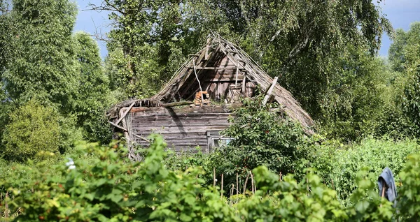 Eastern Europe, Republic of Belarus, Kachanovichi village, Pinsk district, Brest region. Old houses with thatched roofs.