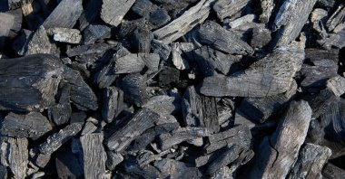 Coals background. Consequence of a forest fire.