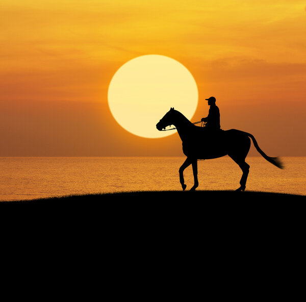 Man riding horse over sunset sky and sea
