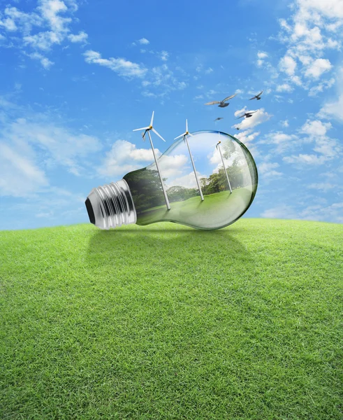 Windmill and forest inside light bulb with birds over green gras — Stock Photo, Image