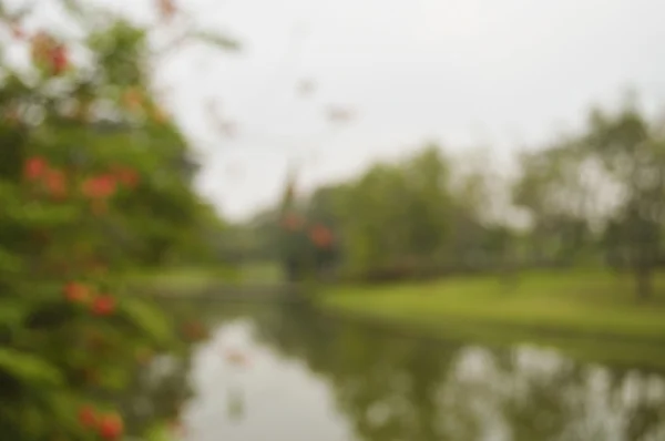 Vervagen van rode bloem- en boomsoorten in openbaar park, 's avonds tijd — Stockfoto