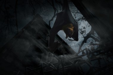 Yarasa çığlık ve çit, eski grunge kale, ay ve clou üzerine asmak