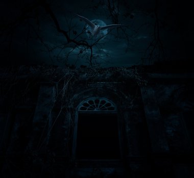 Ölü ağaçlar ile eski antik kale üzerinde kuş sinek, moon ve bulutlu