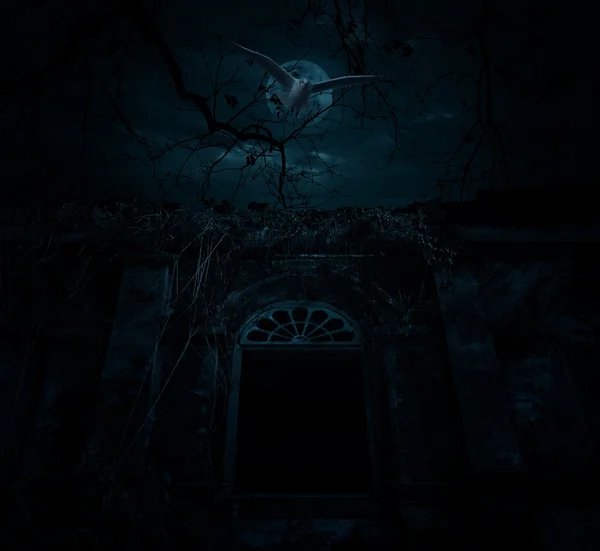 O pássaro voa sobre o castelo antigo velho com árvore morta, lua e nublado — Fotografia de Stock