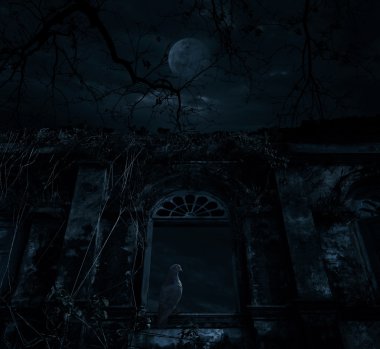 Eski antik pencere kale üzerinde ölü ağaç üzerinde oturan kuş, ay bir