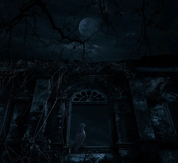 Fågeln sitter på gamla antika fönster slottet över döda trädet, månen en — Stockfoto