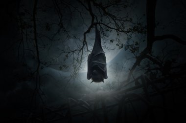 Bat uyku ve eski çitin üzerinden ölü ağaca asmak, moon ve bulutlu 