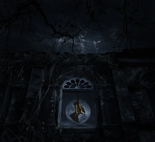 Bat sikoly, és a régi régi ablak vár kinyúlik halott fa, — Stock Fotó