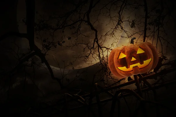 Jack O Lantern dýně na tejrat nad mrtvý strom, měsíc a clo — Stock fotografie