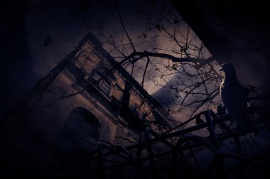 Eski çitin üzerinden grunge Kalesi, ölü ağaç, bir martı kuşu otur